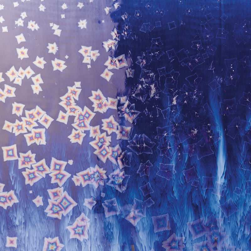 Cosmos: CO-24 Blue Starlight (Pint)