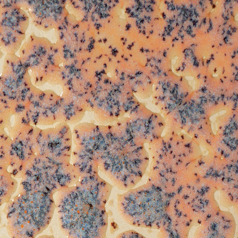 CR 18 Speckled Flux Crawl Pint