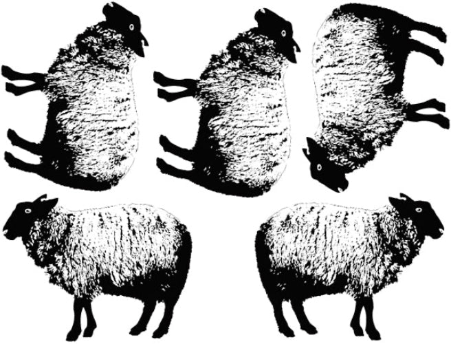 Decal Vintage Sheep ANSH - MICA