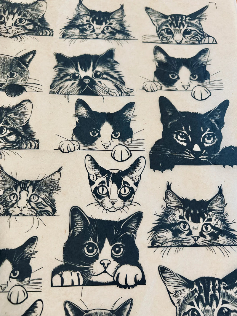 Elan Transfer Zany Cats