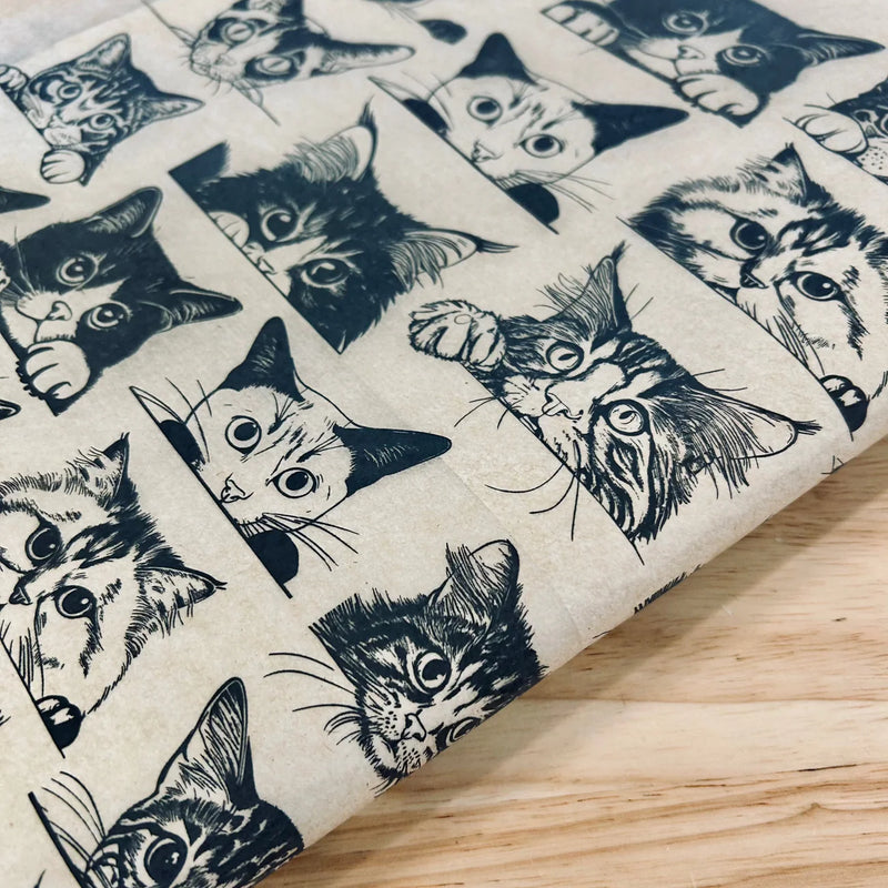 Elan Transfer Zany Cats