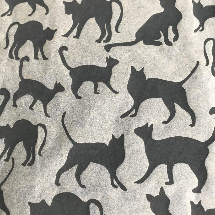 Elan Transfer Cats